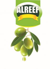 ALREEF REEFREEF