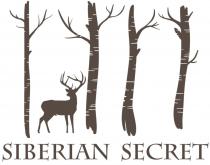 SIBERIAN SECRETSECRET