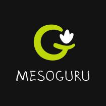 MESOGURU MESOGURU MESO MESO