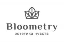 BLOOMETRY ЭСТЕТИКА ЧУВСТВЧУВСТВ