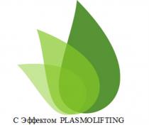 С ЭФФЕКТОМ PLASMOLIFTING LIFTING PLASMOPLASMO