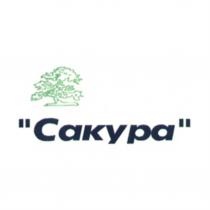 САКУРА CAKYPACAKYPA