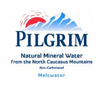 PILGRIM NATURAL MINERAL WATER FROM THE NORTH CAUCASUS MOUNTAINS NON-CARBONATED MELTWATERMELTWATER