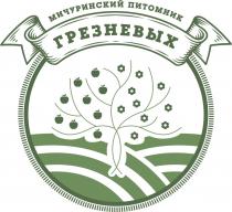 МИЧУРИНСКИЙ ПИТОМНИК ГРЕЗНЕВЫХГРЕЗНЕВЫХ