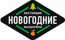 НОВОГОДНИЕ НАСТОЯЩИЕ МАНДАРИНЫМАНДАРИНЫ