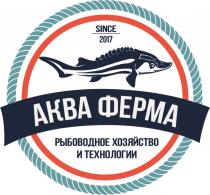 АКВА ФЕРМА SINCE 2017 РЫБОВОДНОЕ ХОЗЯЙСТВО И ТЕХНОЛОГИИТЕХНОЛОГИИ