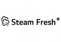 STEAM FRESHFRESH