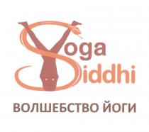 YOGA SIDDHI ВОЛШЕБСТВО ЙОГИЙОГИ