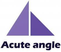 ACUTE ANGLEANGLE