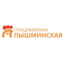 ПЫШМИНСКАЯ ПТИЦЕФАБРИКАПТИЦЕФАБРИКА