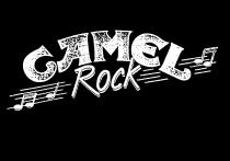 CAMEL ROCK