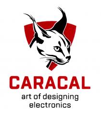 CARACAL ART OF DESIGNING ELECTRONICSELECTRONICS