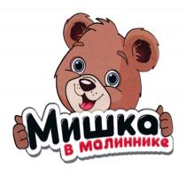 МИШКА В МАЛИННИКЕМАЛИННИКЕ