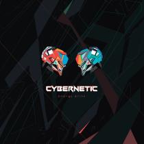 CYBERNETIC ENERGY DRINKDRINK