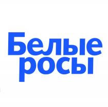 БЕЛЫЕ РОСЫРОСЫ