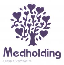 MEDHOLDING GROUP OF COMPANIESCOMPANIES