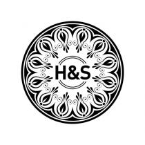 HS H&SH&S