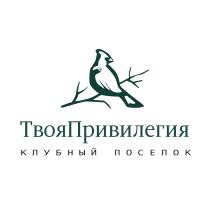 ТВОЯПРИВИЛЕГИЯ КЛУБНЫЙ ПОСЕЛОКПОСЕЛОК