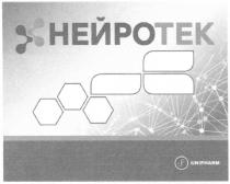 НЕЙРОТЕК UNIPHARM ФОЛИЕВАЯ КИСЛОТА УРИДИНМОНОФОСФАТ ФОСФАТИДИЛХОЛИН СПОСОБСТВУЕТ ВОССТАНОВЛЕНИЮ ПОВРЕЖДЕННЫХ НЕРВНЫХ ВОЛОКОН ПРИ ЗАБОЛЕВАНИЯХ ПОЗВОНОЧНИКА И ПЕРИФЕРИЧЕСКИХ НЕРВАХ B6 B12 B1 30 КАПСУЛКАПСУЛ