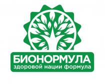 БИОНОРМУЛА ЗДОРОВОЙ НАЦИИ ФОРМУЛАФОРМУЛА