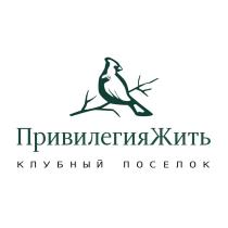 ПРИВИЛЕГИЯЖИТЬ КЛУБНЫЙ ПОСЕЛОКПОСЕЛОК