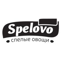 SPELOVO СПЕЛЫЕ ОВОЩИОВОЩИ