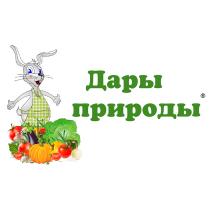 ДАРЫ ПРИРОДЫПРИРОДЫ