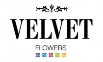 VELVET FLOWERSFLOWERS