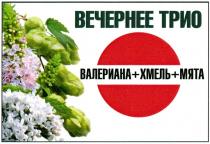 ВЕЧЕРНЕЕ ТРИО ВАЛЕРИАНА + ХМЕЛЬ + МЯТА+ + МЯТА