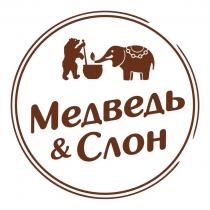 МЕДВЕДЬ & СЛОНСЛОН