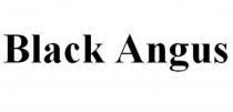 BLACK ANGUSANGUS