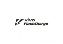 VIVO FLASHCHARGEFLASHCHARGE