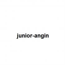 JUNIOR-ANGINJUNIOR-ANGIN