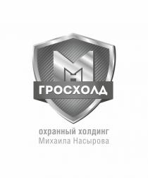 ГРОСХОЛД ОХРАННЫЙ ХОЛДИНГ МИХАИЛА НАСЫРОВАНАСЫРОВА