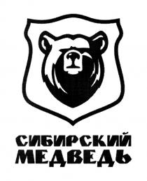 СИБИРСКИЙ МЕДВЕДЬМЕДВЕДЬ