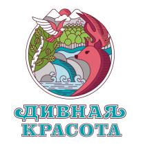 ДИВНАЯ КРАСОТАКРАСОТА