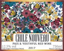 CHILE NOUVEAU PAIS & YOUTHFUL RED WINE VALLE CENTRAL THE FIRST VINTAGE WINE 20172017