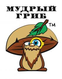 МУДРЫЙ ГРИБ