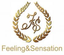 F&S FEELING & SENSATIONSENSATION