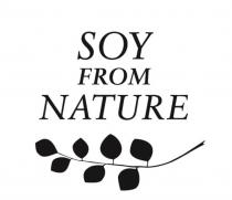 SOY FROM NATURENATURE