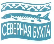 СЕВЕРНАЯ БУХТАБУХТА