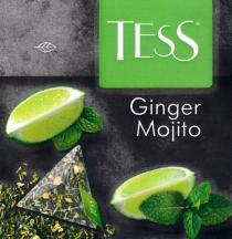 TESS GINGER MOJITOMOJITO