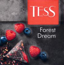 TESS FOREST DREAMDREAM