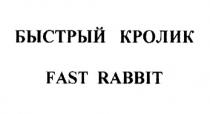 БЫСТРЫЙ КРОЛИК FAST RABBITRABBIT