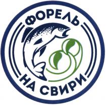 ФОРЕЛЬ НА СВИРИСВИРИ