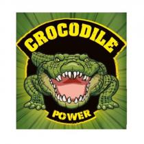 CROCODILE POWERPOWER