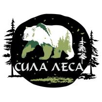 СИЛА ЛЕСАЛЕСА