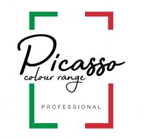 PICASSO COLOUR RANGE PROFESSIONALPROFESSIONAL