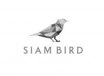 SIAM BIRDBIRD