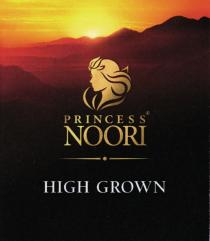 PRINCESS NOORI HIGH GROWNGROWN